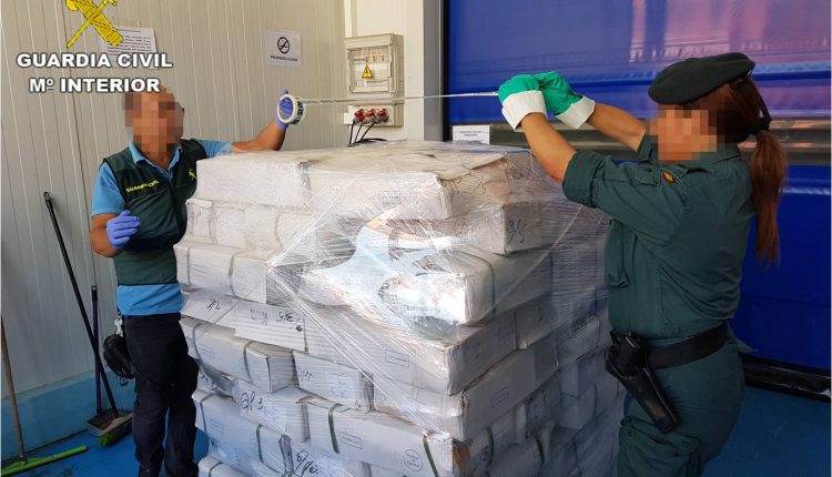 albatera actualidad pulpo guardia civil