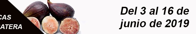 baner aa jornada breva de albatera 2019