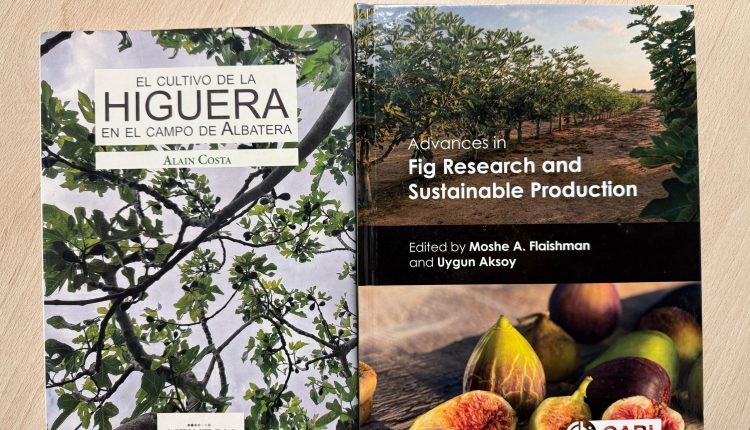 Alain Costa-brevas 2